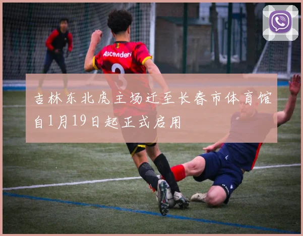 吉林东北虎主场迁至长春市体育馆自1月19日起正式启用